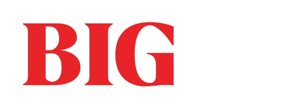 Big Language Solutions logo