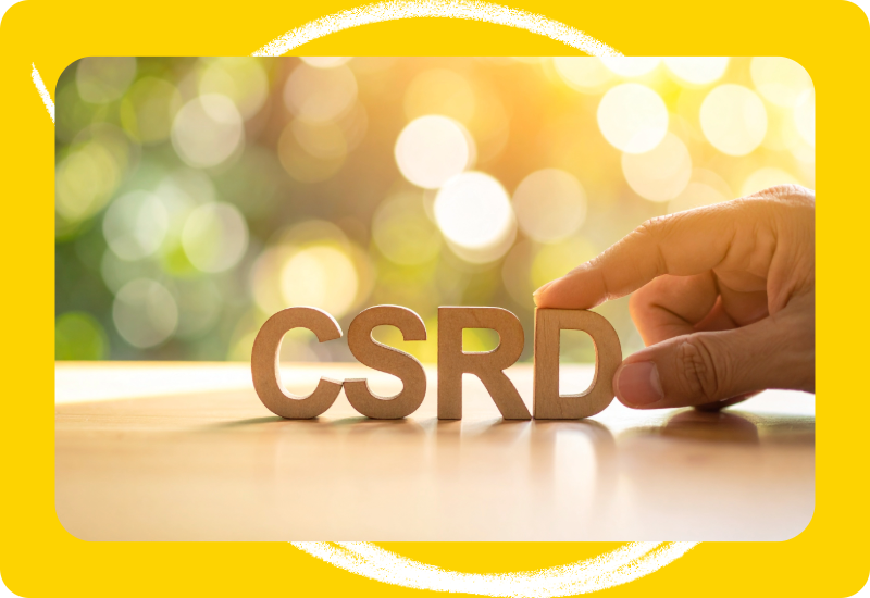 Why Translation Needs to Be a Key Part of Your CSRD Compliance Strategy